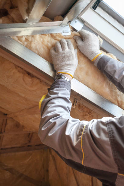 Best Insulation for Specific Applications in Scotts Valley, CA